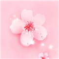 桃花直播安卓版 V2.3.7